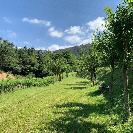Loft - Casinha A Porta Villa Arouca Kültér fotó