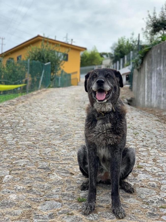 Loft - Casinha A Porta Villa Arouca Kültér fotó